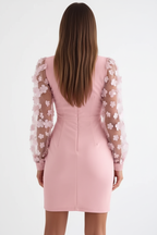  "Robe mini moulante rose manches mesh appliqués floraux - vue arrière dos montrant le design du dos de la robe, silhouette ajustée froncée, manches mesh transparentes avec appliqués floraux, tissu rose poudré, fond blanc studio BLAC